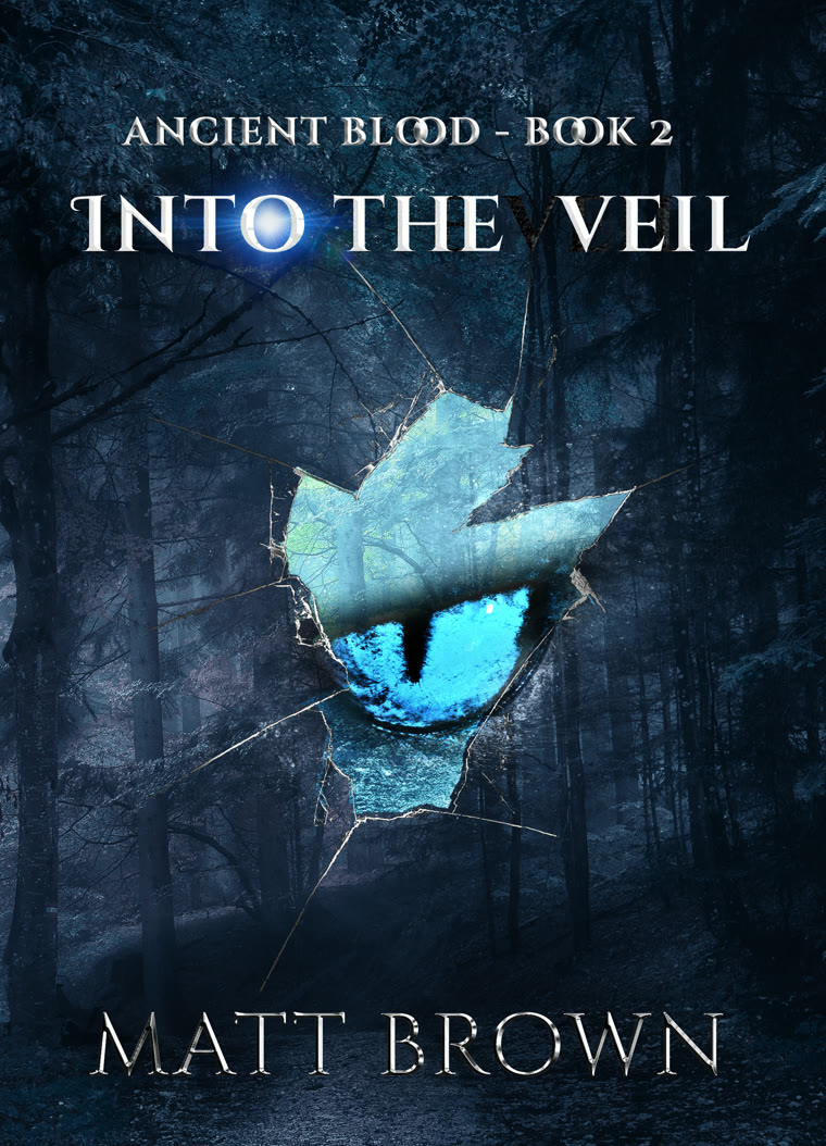 Into the Veil Book Cover