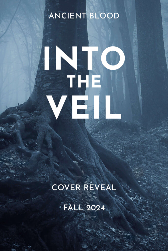 Into the Veil Book Cover